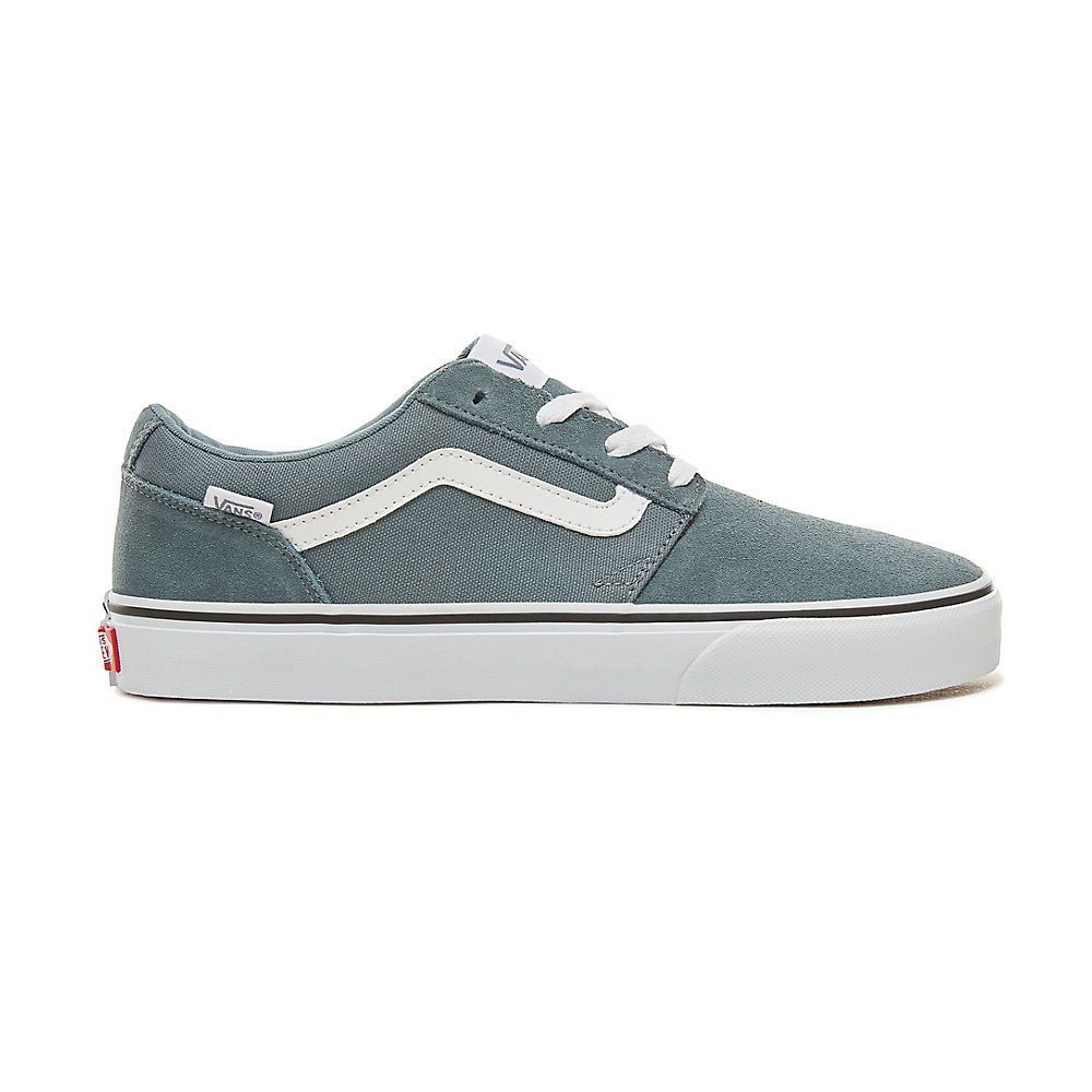 Vans Chapman Stripe Skate Shoes: Product Review