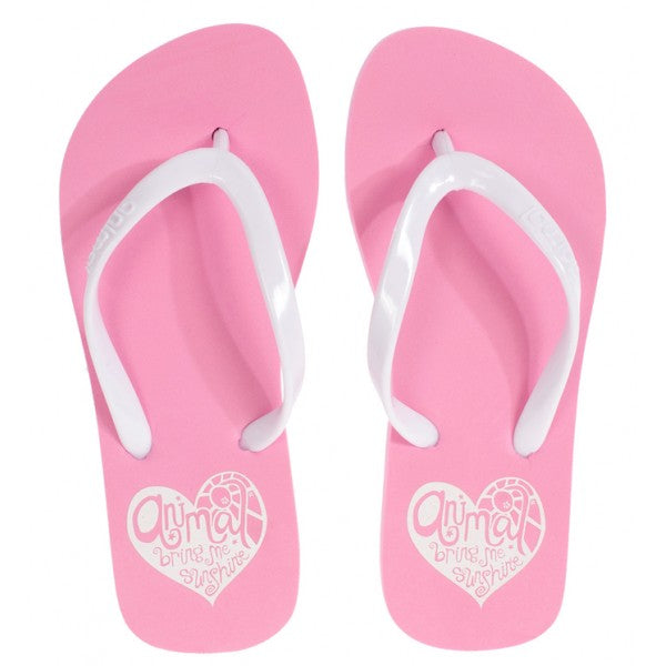 New Products from Animal!