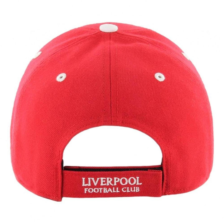 47 EPL Liverpool FC Defrost MVP Cap