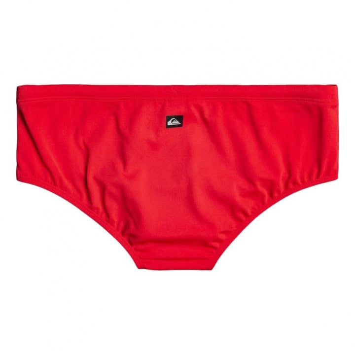 Quiksilver Everyday Swim Briefs