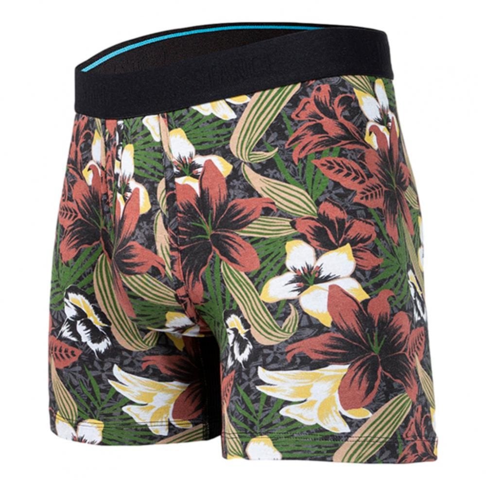 Stance Hilo Wholester Boxer Brief
