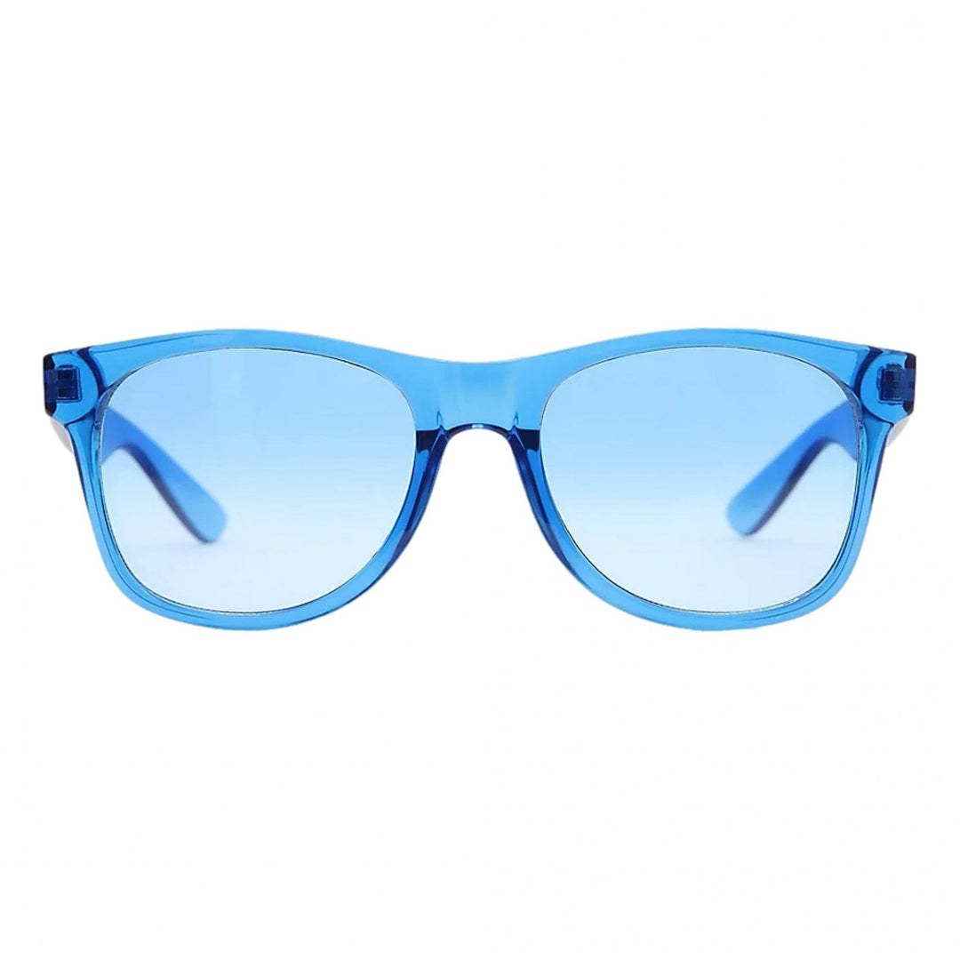Vans Spicoli 4 Shades Sunglasses