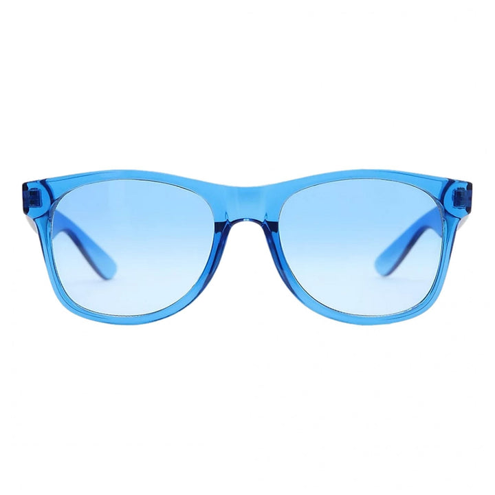 Vans Spicoli 4 Shades Sunglasses