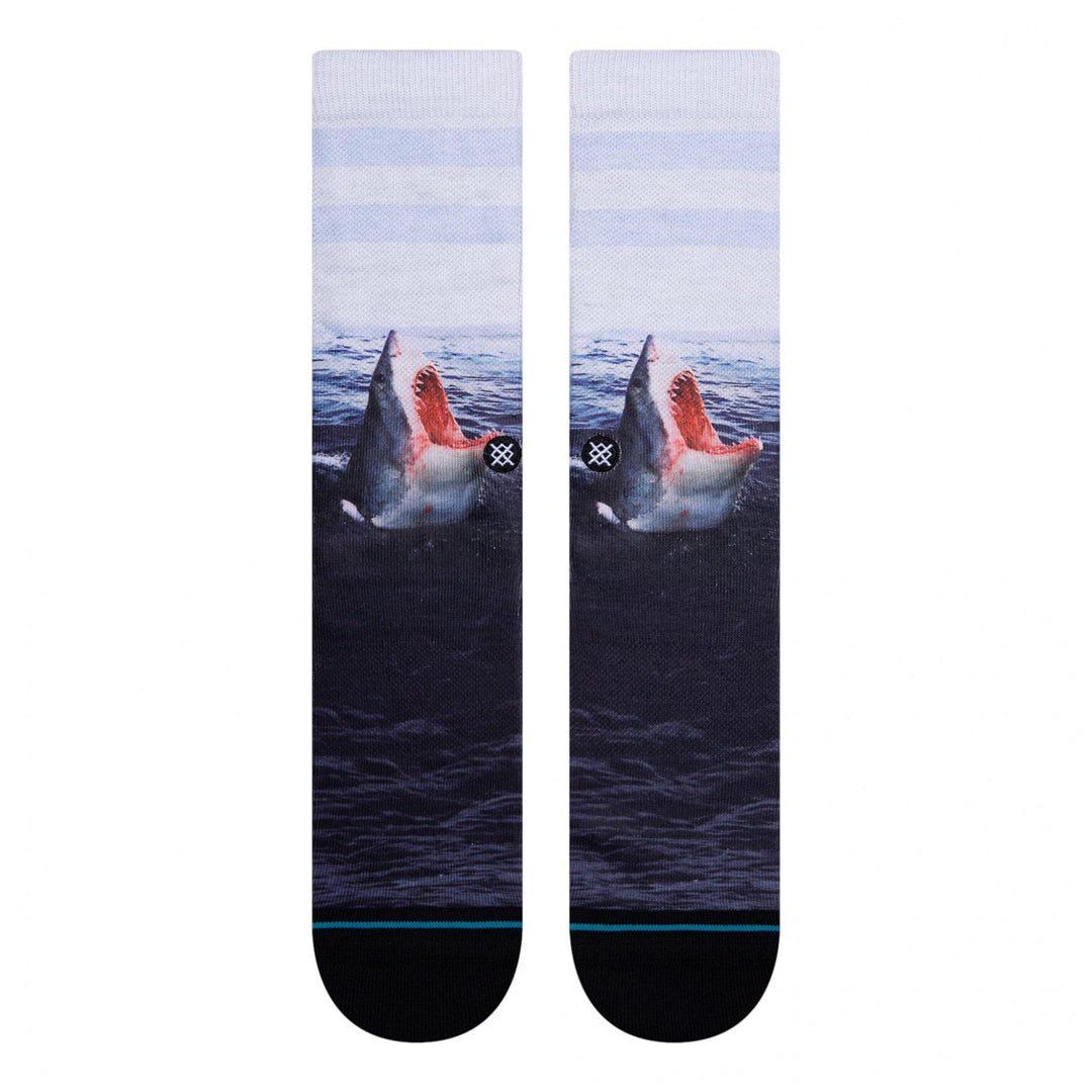 Stance Landlord Socks