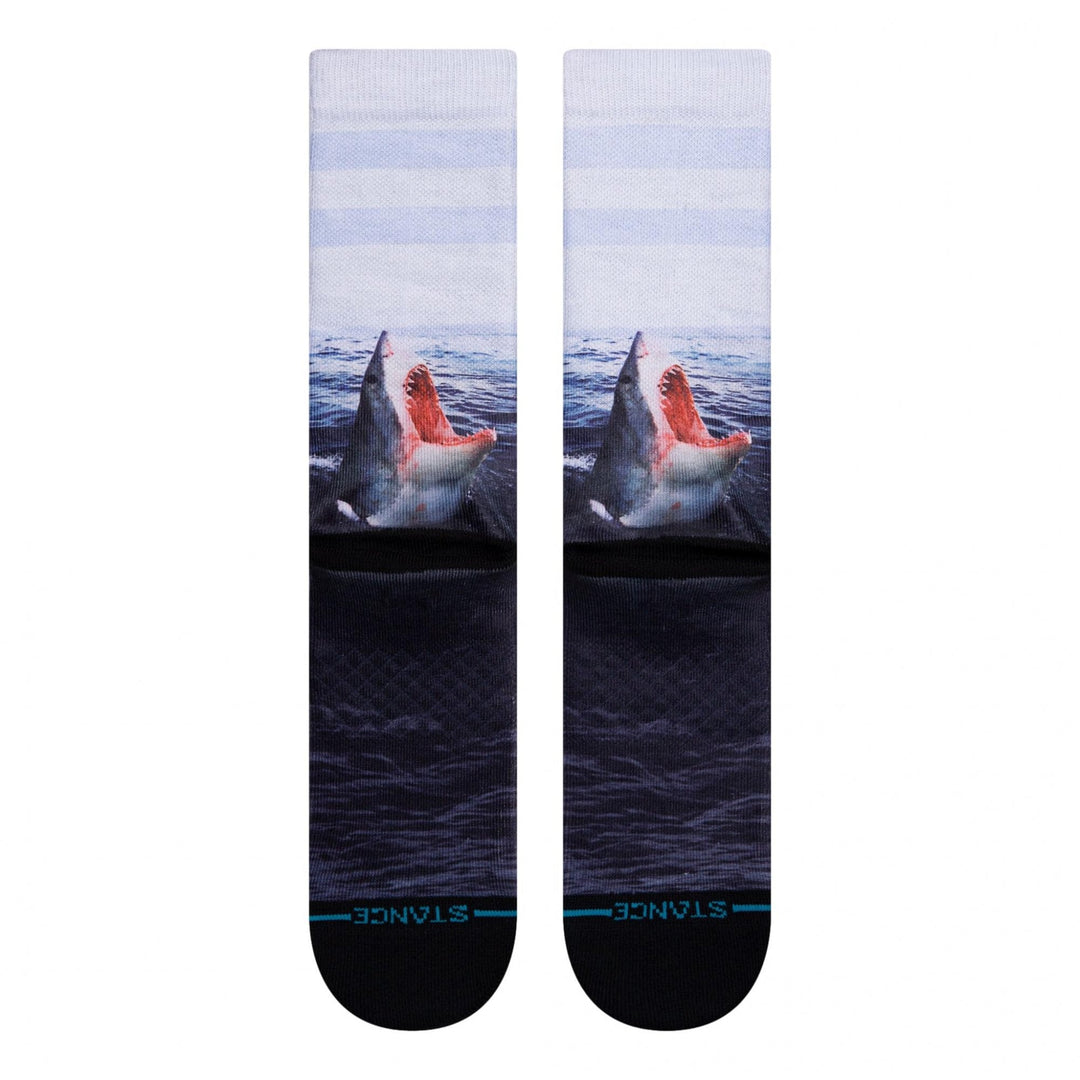 Stance Landlord Socks
