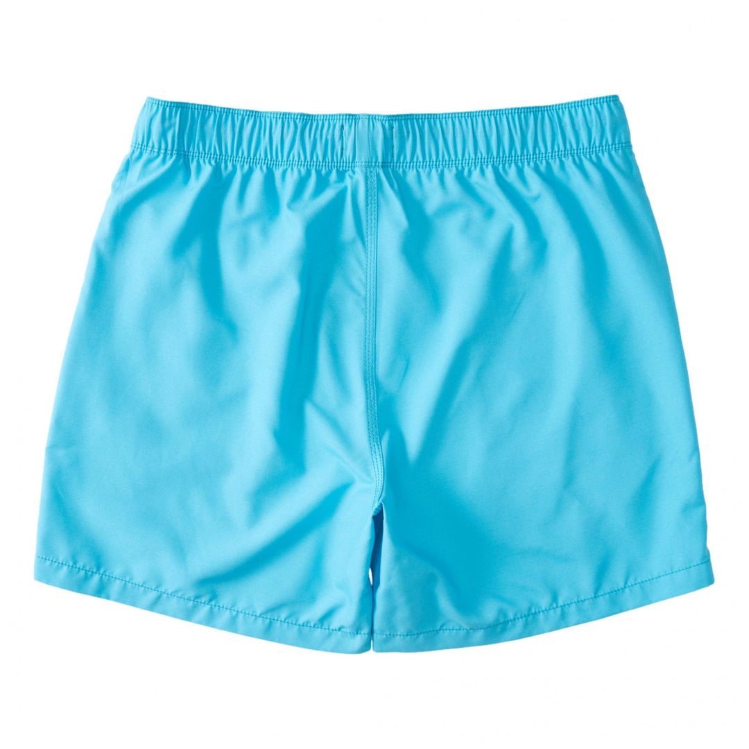 Billabong All Day Laybacks 16" Board Shorts