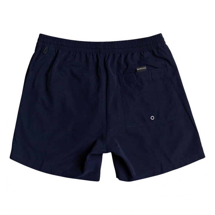 Quiksilver Everyday 13" Boys Swim Shorts