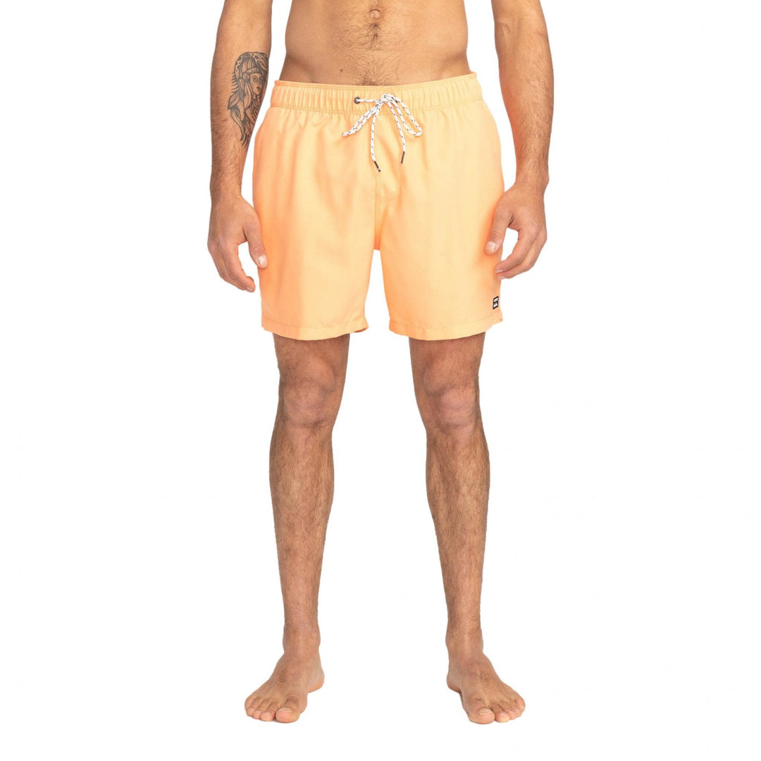 Billabong All Day LB Swim Shorts