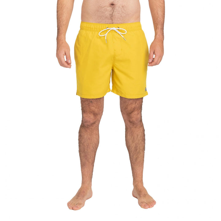 Billabong All Day LB Swim Shorts