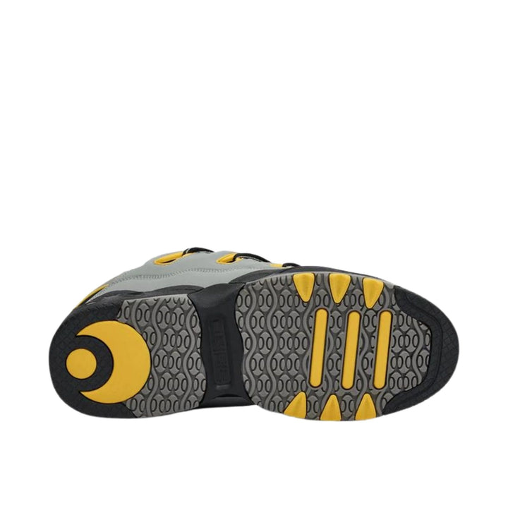 Osiris D3 OG Shoes