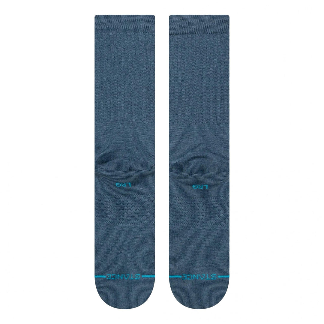 Stance Icon Socks