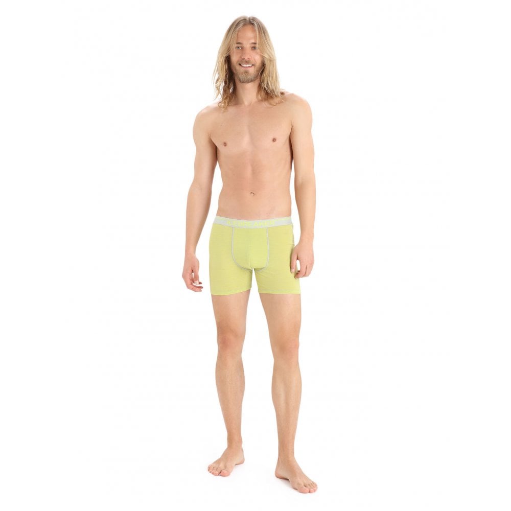 Icebreaker Merino Anatomica Boxer Shorts