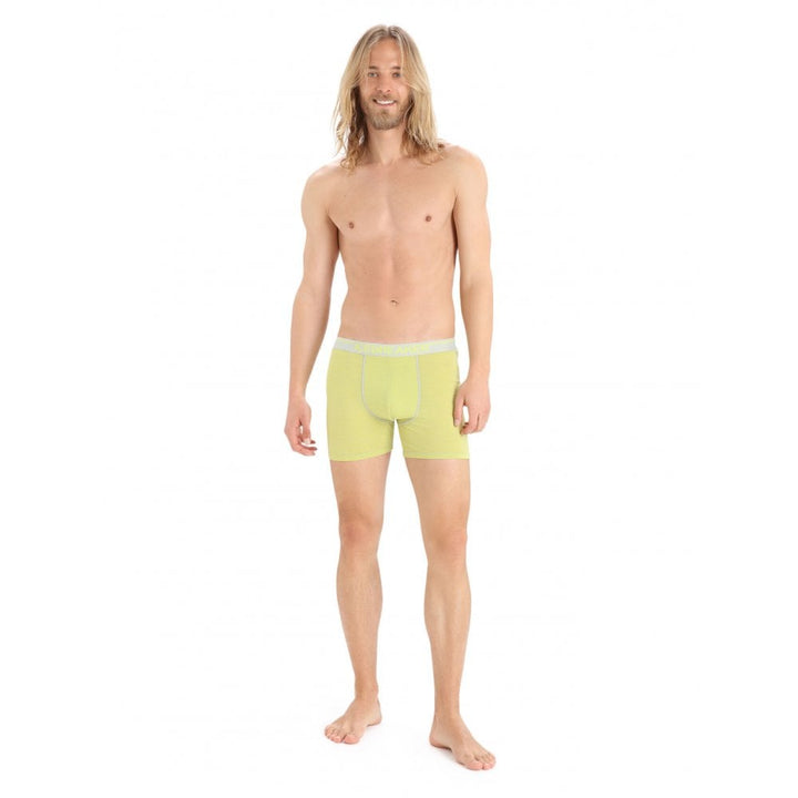 Icebreaker Merino Anatomica Boxer Shorts