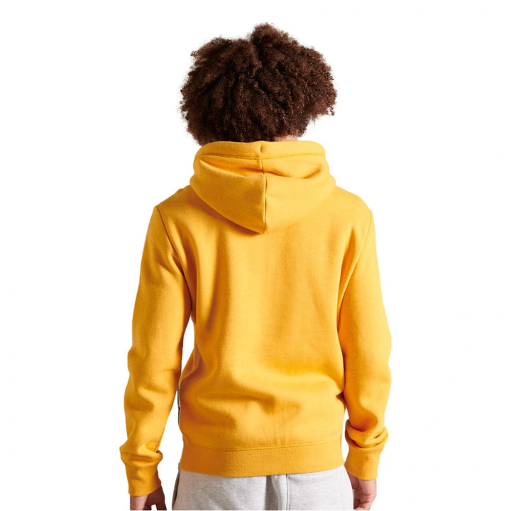 Superdry Logo Embroidered Zip Hoodie - Men&