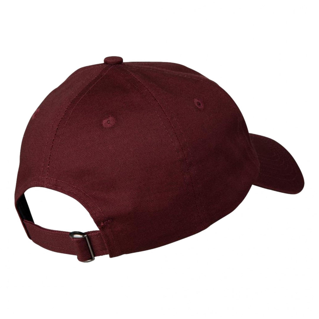 Santa Cruz Classic Label Cap