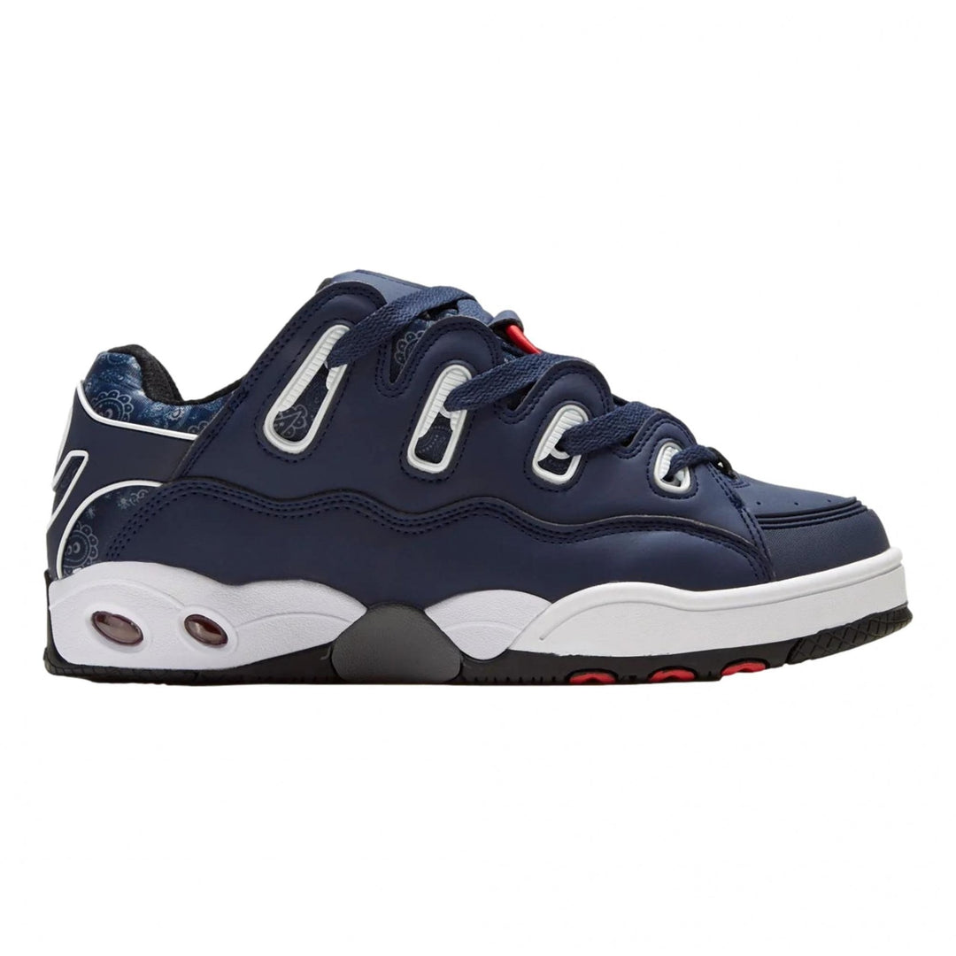 Osiris D3 OG Shoes