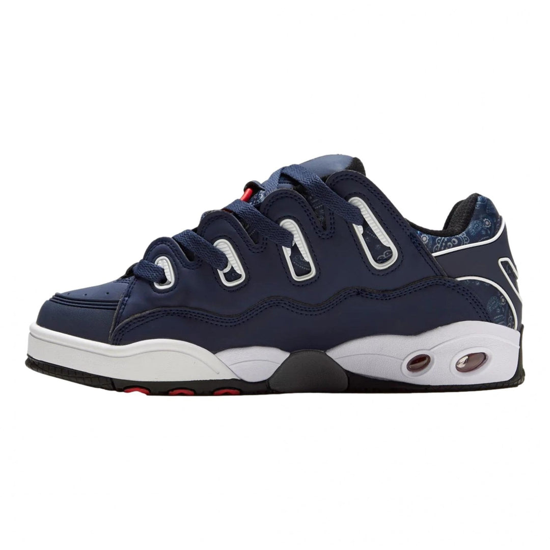 Osiris D3 OG Shoes