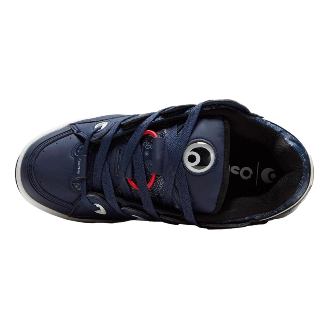 Osiris D3 OG Shoes