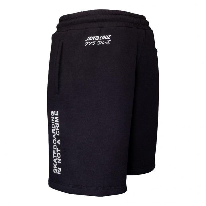Santa Cruz Mixed Up Shorts