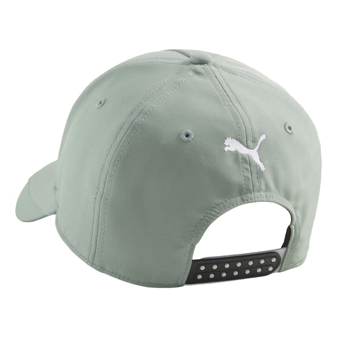 Puma Mercedes AMG Petronas Cap