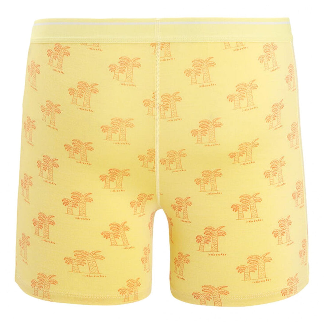 Icebreaker Merino Anatomica Boxer Shorts
