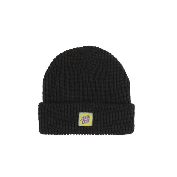 Santa Cruz Check Alt Dot Beanie