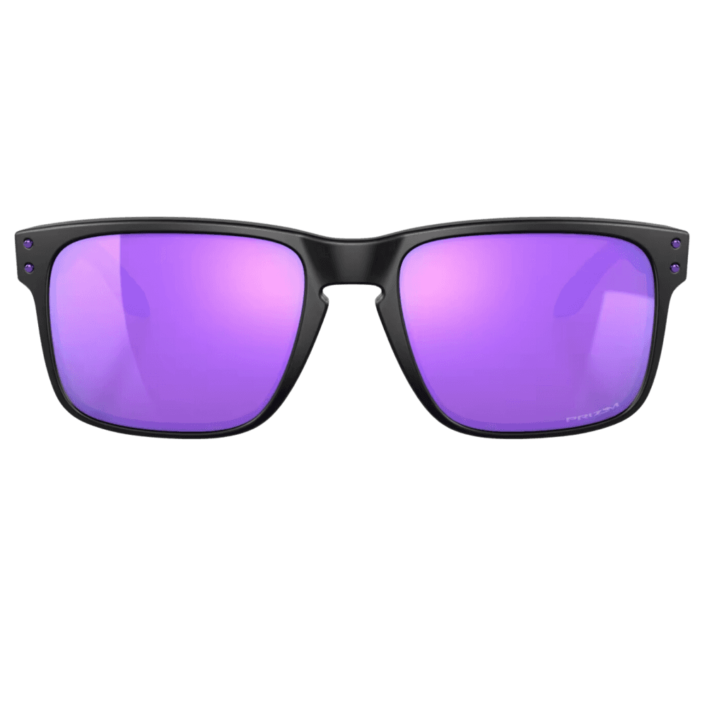 Oakley Holbrook Sunglasses