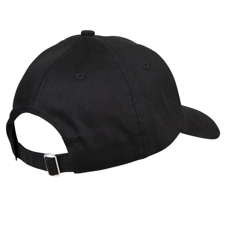 Santa Cruz Dissect Cap