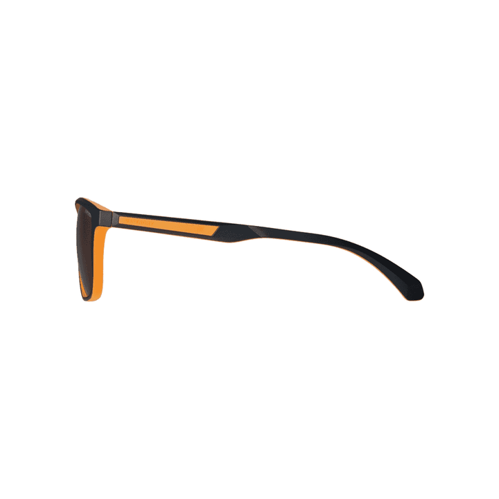Superdry 5014 Sunglasses