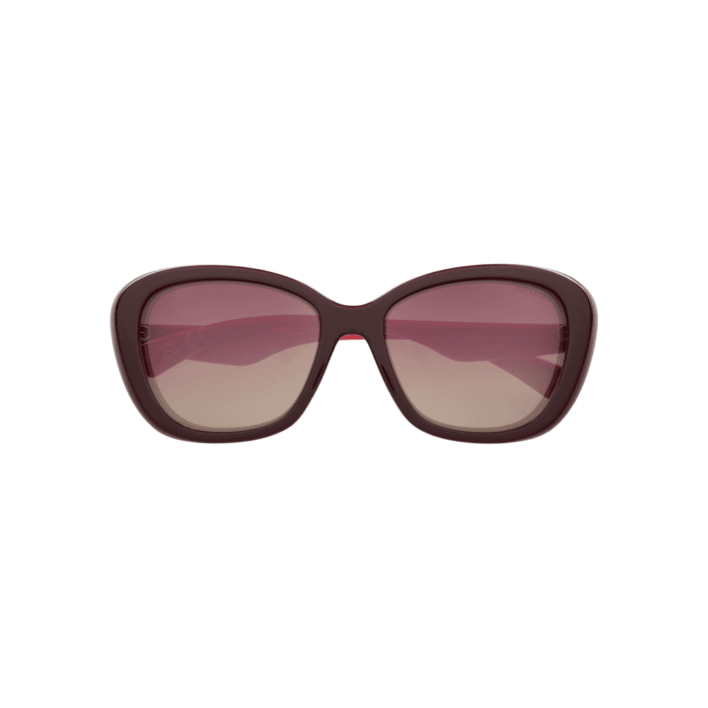 Superdry 5022 Sunglasses