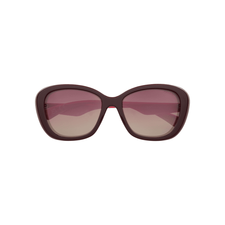 Superdry 5022 Sunglasses
