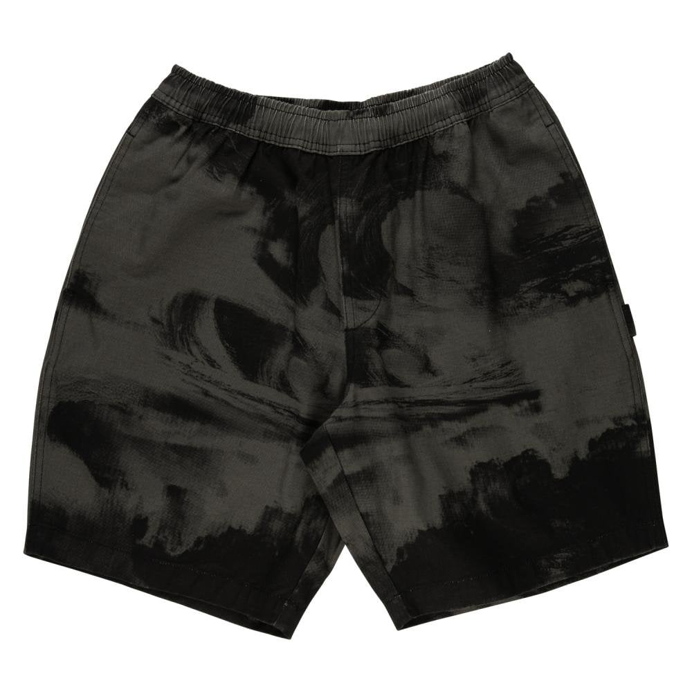 Santa Cruz Painters Shorts