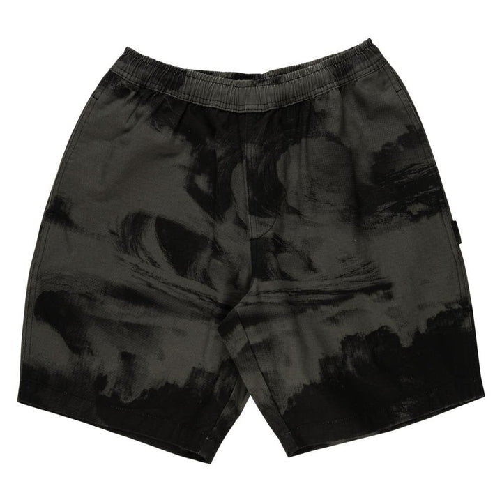 Santa Cruz Painters Shorts