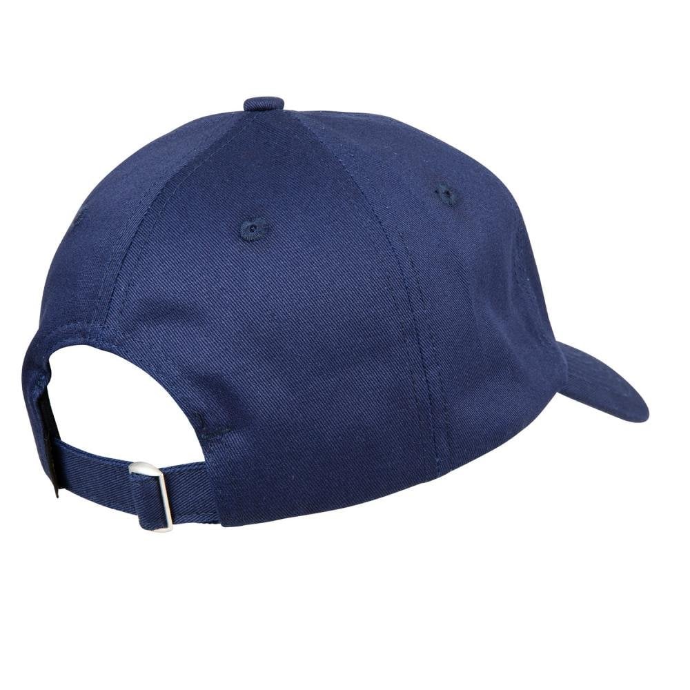 Santa Cruz Dissect Cap