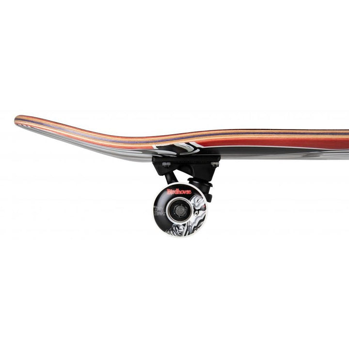 Birdhouse Stage 3 Complete Skateboard