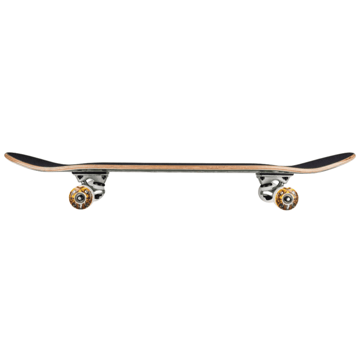 Rocket Complete Skateboard