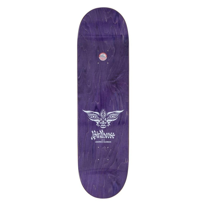 Birdhouse Entities Pro Skateboard Deck