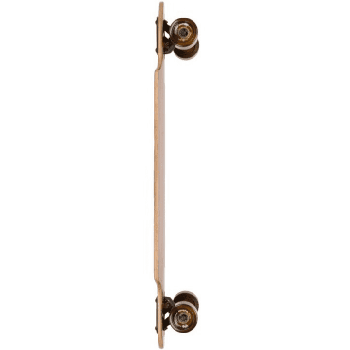 Arbor Flagship Zeppelin Complete Cruiserboard