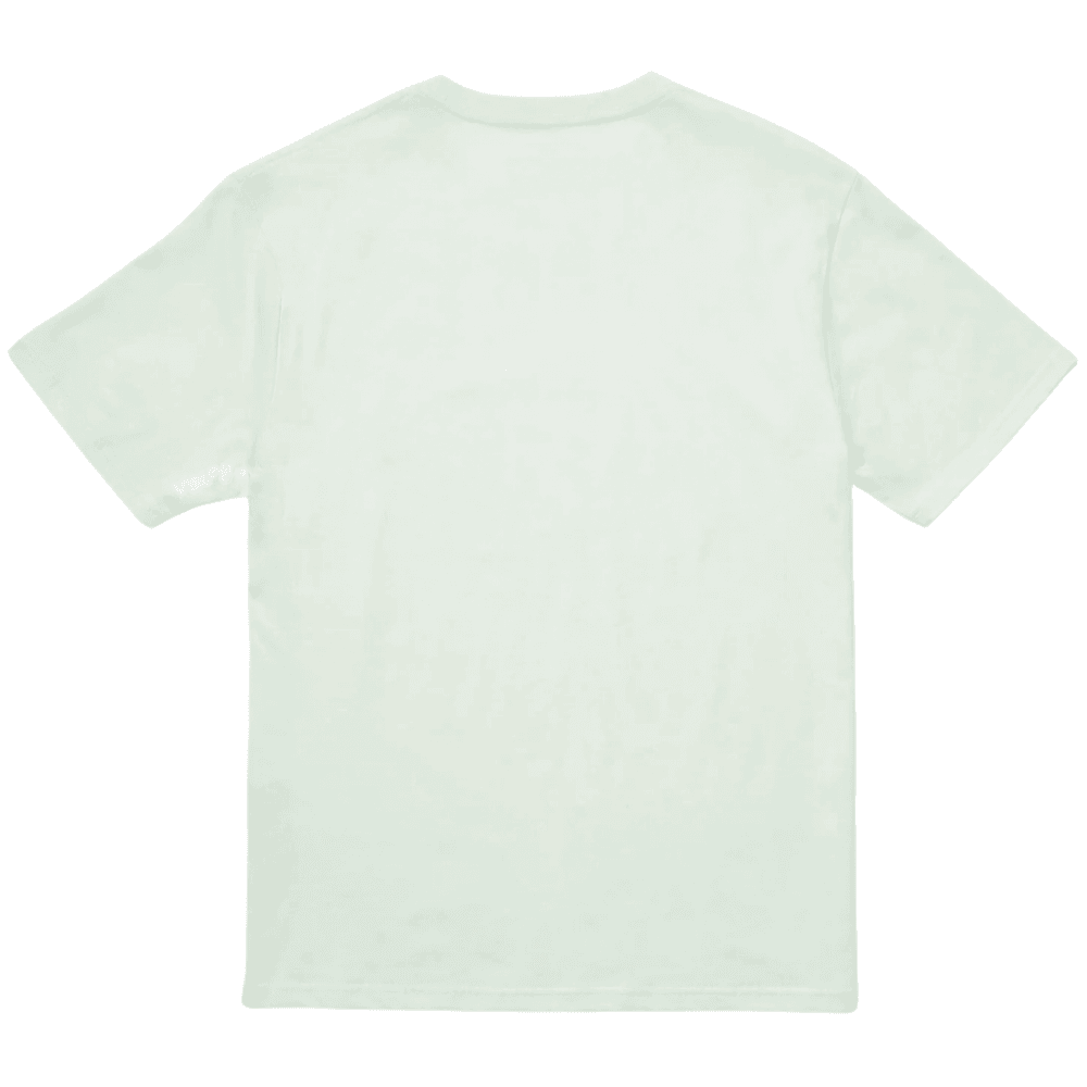Volcom Stone Blanks Bsc SS Tee