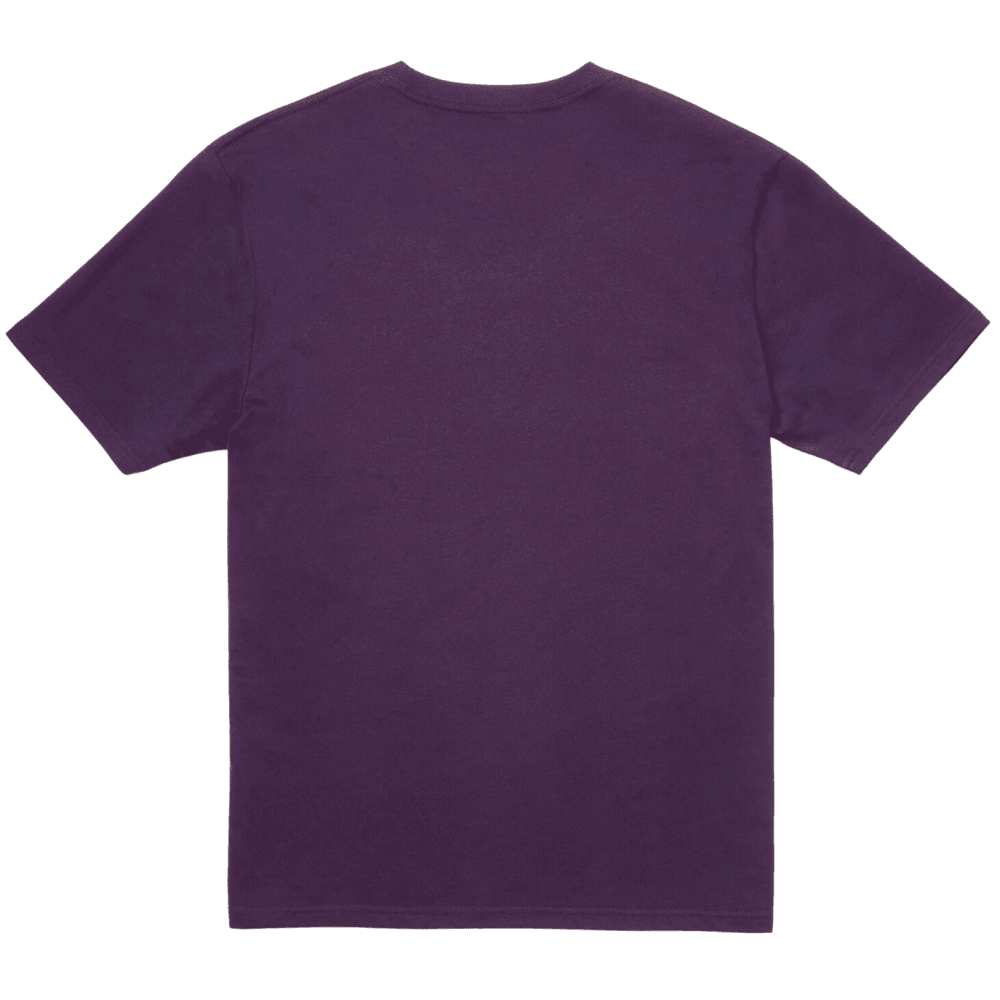 Volcom Stone Blanks Bsc SS Tee