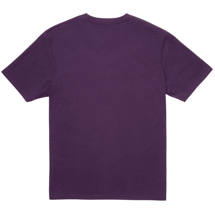 Volcom Stone Blanks Bsc SS Tee
