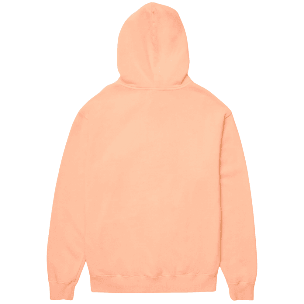 Volcom Single Stone TW PO Hoodie