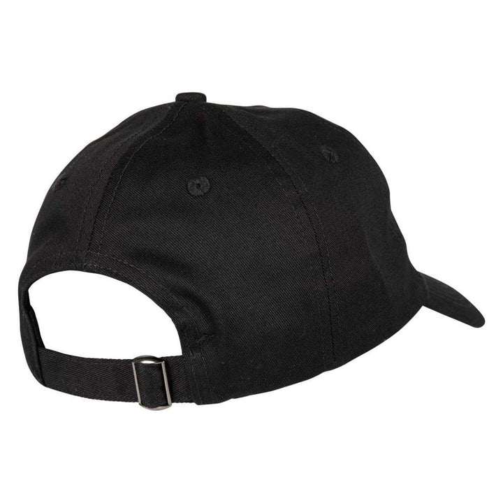 Santa Cruz Other Dot Cap
