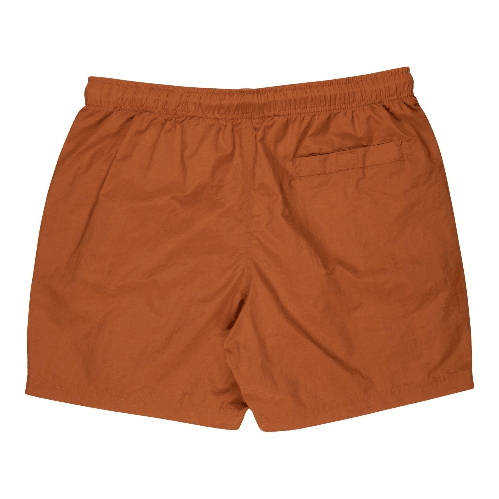 Santa Cruz Classic Dot Swim Shorts