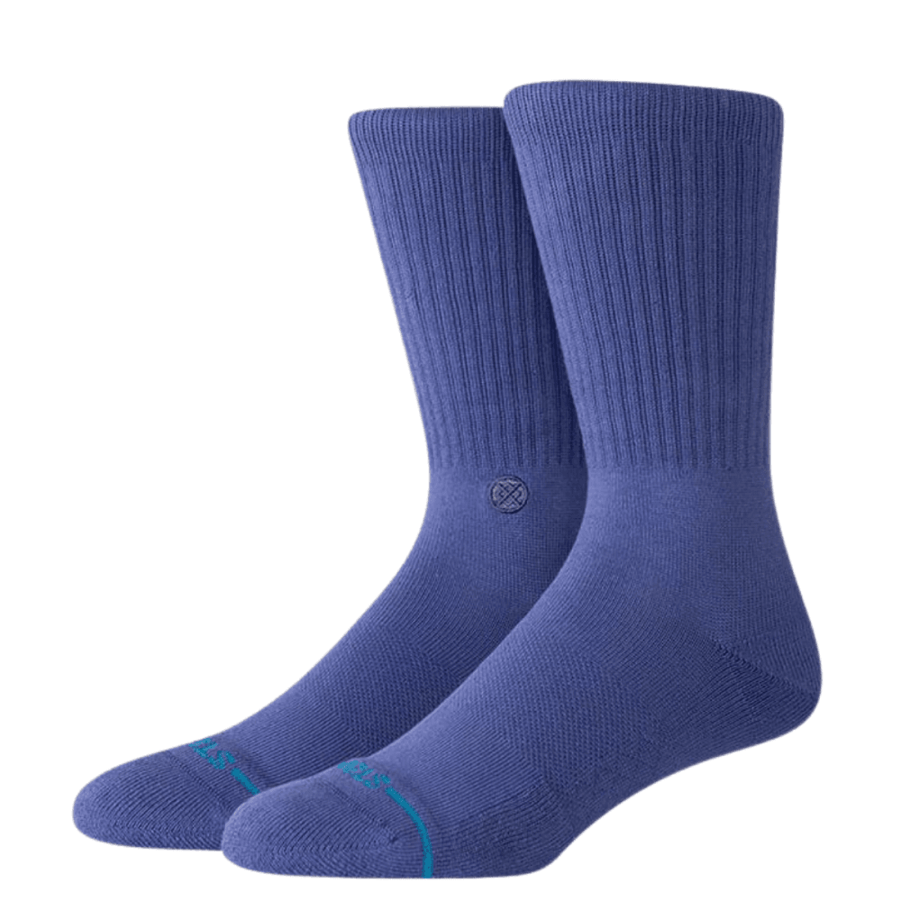 Stance Icon Socks