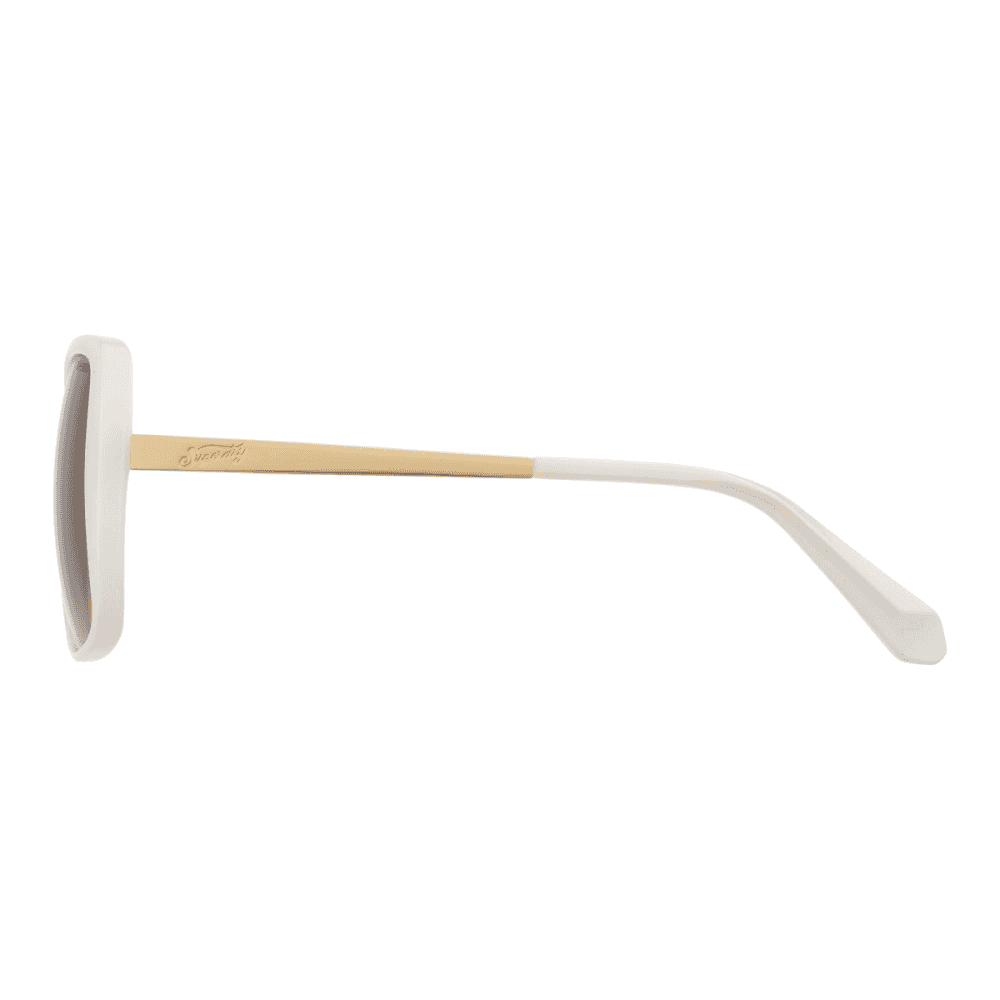 Superdry 5035 Sunglasses