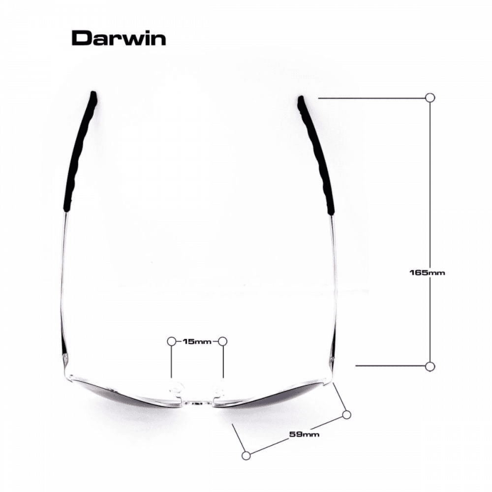 Bloc Darwin Sunglasses