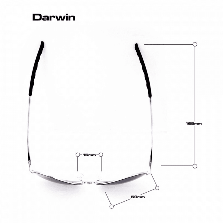 Bloc Darwin Sunglasses