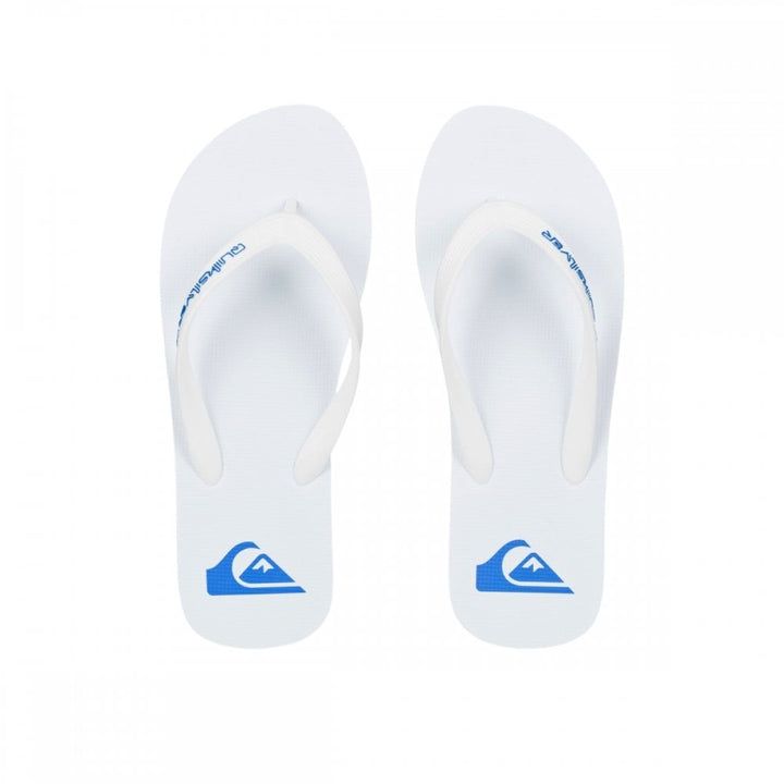 Quiksilver Molokai Core Sandals