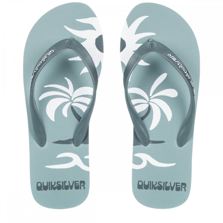 Quiksilver Molokai Screen Sandals
